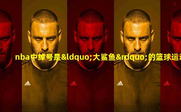 nba中绰号是“大鲨鱼”的篮球运动员是