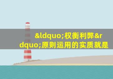 “权衡利弊”原则运用的实质就是