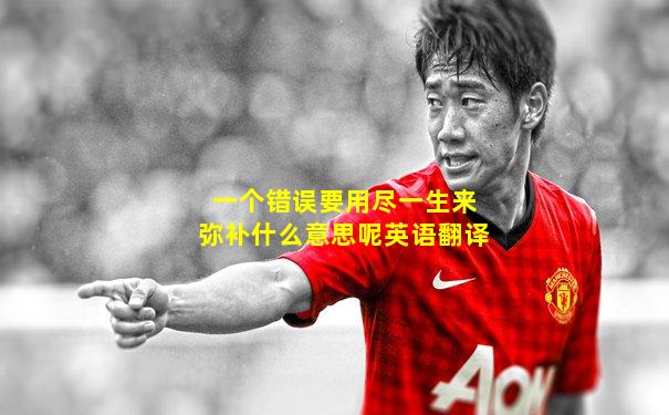 一个错误要用尽一生来弥补什么意思呢英语翻译