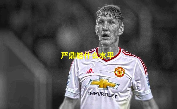严鼎皓什么水平