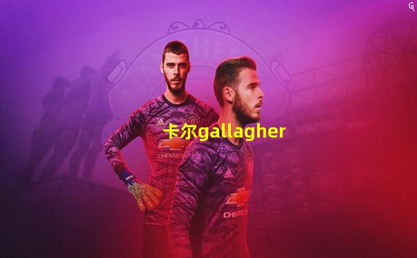 卡尔gallagher