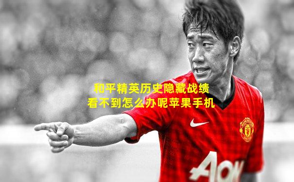 和平精英历史隐藏战绩看不到怎么办呢苹果手机