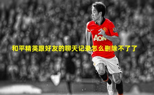 和平精英跟好友的聊天记录怎么删除不了了