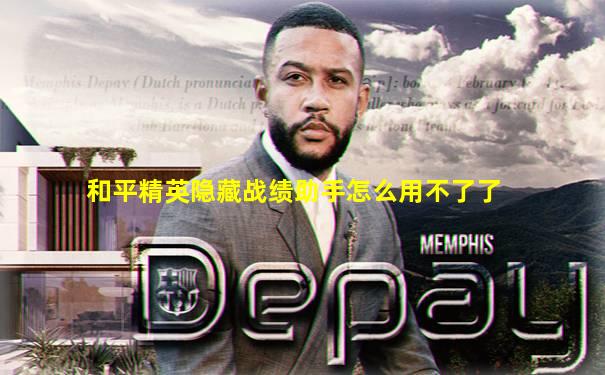 和平精英隐藏战绩助手怎么用不了了