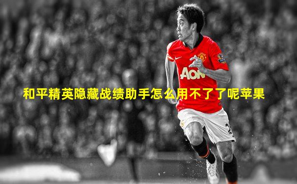 和平精英隐藏战绩助手怎么用不了了呢苹果