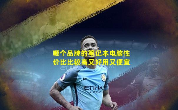哪个品牌的笔记本电脑性价比比较高又好用又便宜