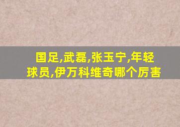 国足,武磊,张玉宁,年轻球员,伊万科维奇哪个厉害
