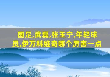 国足,武磊,张玉宁,年轻球员,伊万科维奇哪个厉害一点