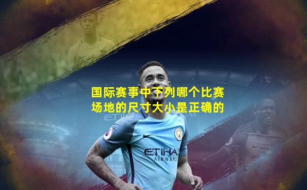 国际赛事中下列哪个比赛场地的尺寸大小是正确的