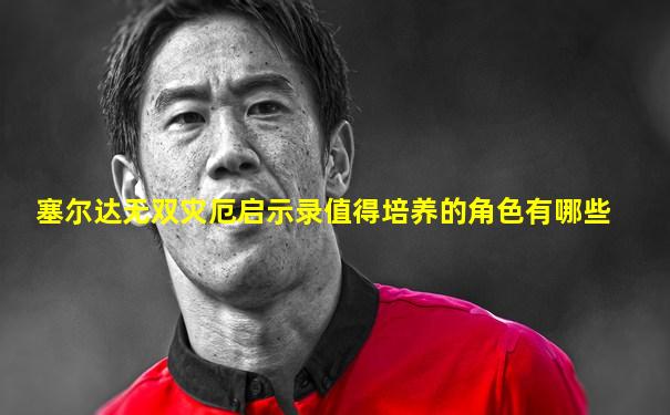 塞尔达无双灾厄启示录值得培养的角色有哪些