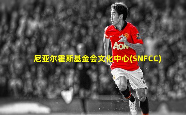 尼亚尔霍斯基金会文化中心(SNFCC)