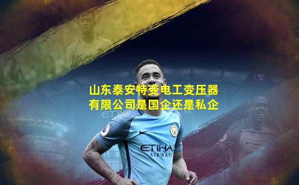山东泰安特变电工变压器有限公司是国企还是私企