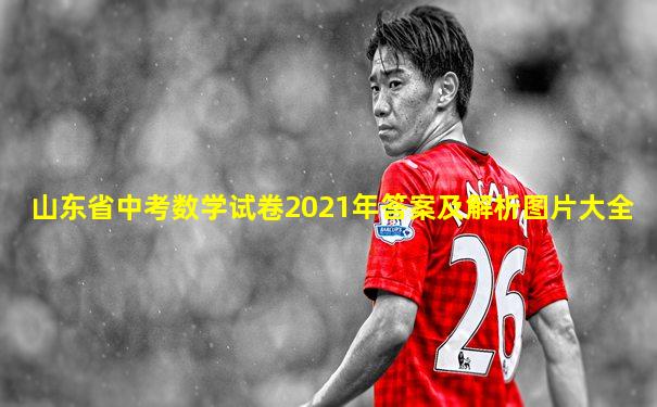 山东省中考数学试卷2021年答案及解析图片大全