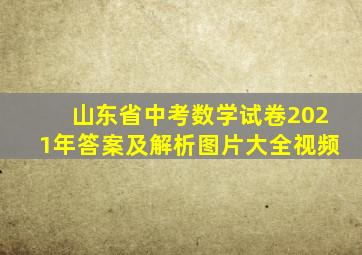 山东省中考数学试卷2021年答案及解析图片大全视频