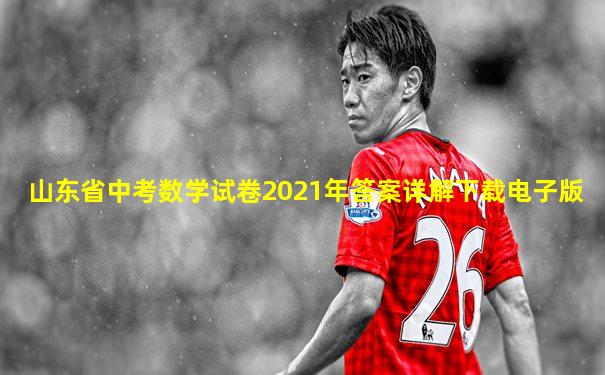 山东省中考数学试卷2021年答案详解下载电子版