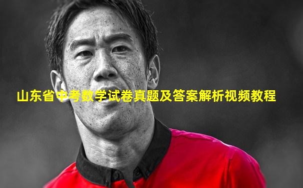 山东省中考数学试卷真题及答案解析视频教程