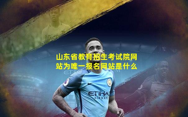 山东省教育招生考试院网站为唯一报名网站是什么