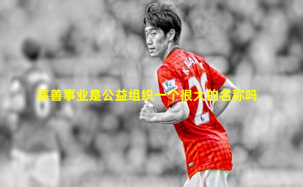 慈善事业是公益组织一个很大的名称吗