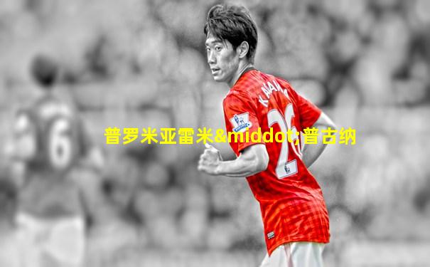 普罗米亚雷米·普古纳