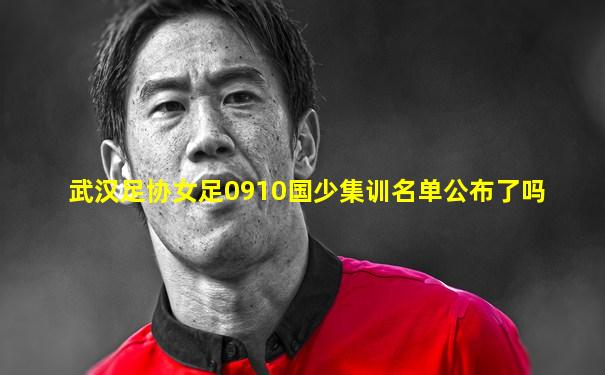 武汉足协女足0910国少集训名单公布了吗