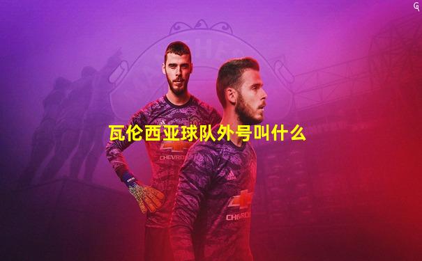 瓦伦西亚球队外号叫什么