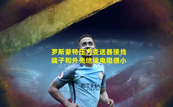 罗斯蒙特压力变送器接线端子和外壳绝缘电阻很小