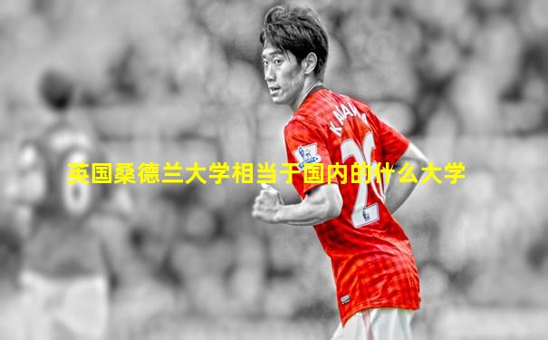 英国桑德兰大学相当于国内的什么大学