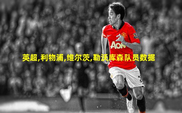 英超,利物浦,维尔茨,勒沃库森队员数据