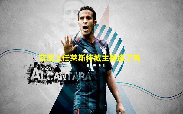 范尼上任莱斯特城主教练了吗