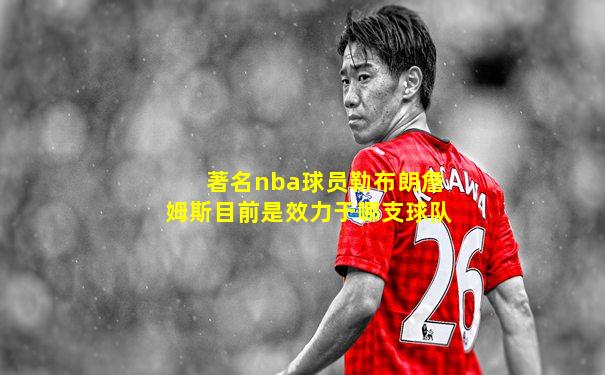 著名nba球员勒布朗詹姆斯目前是效力于哪支球队