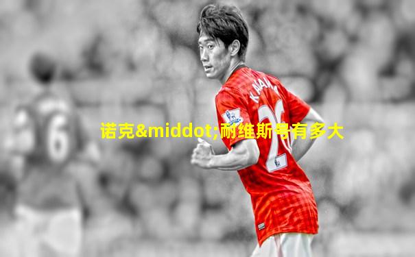 诺克·耐维斯号有多大