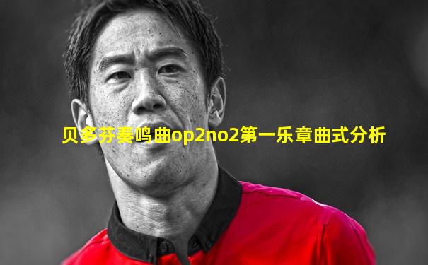 贝多芬奏鸣曲op2no2第一乐章曲式分析