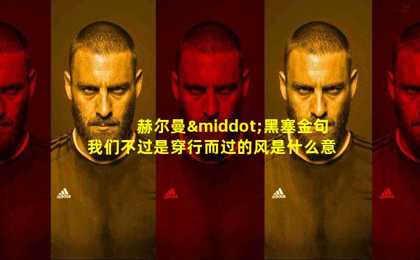赫尔曼·黑塞金句我们不过是穿行而过的风是什么意思