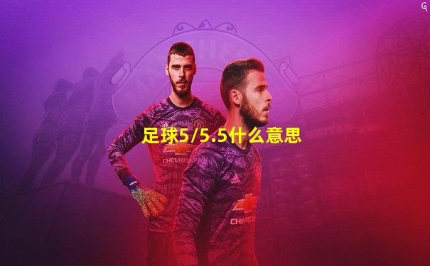 足球5/5.5什么意思