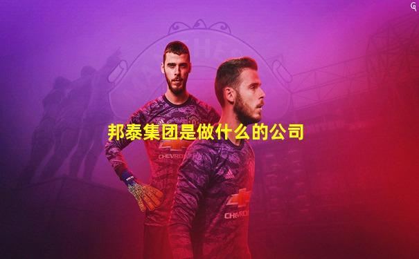 邦泰集团是做什么的公司