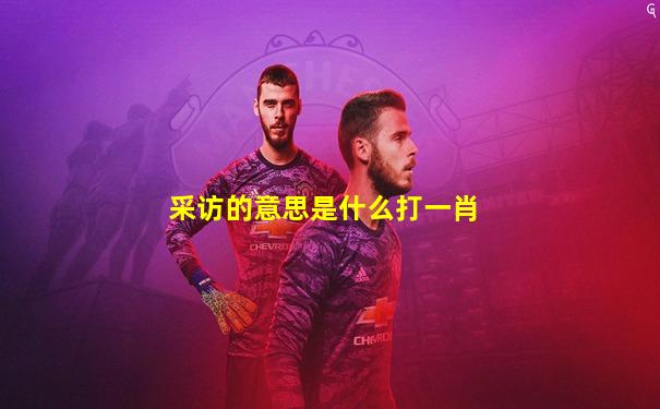 采访的意思是什么打一肖