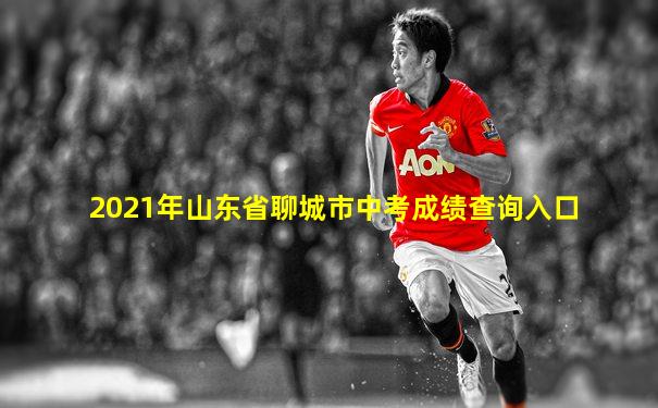 2021年山东省聊城市中考成绩查询入口
