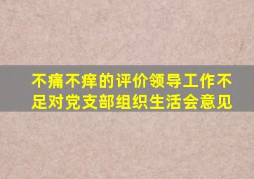不痛不痒的评价领导工作不足对党支部组织生活会意见