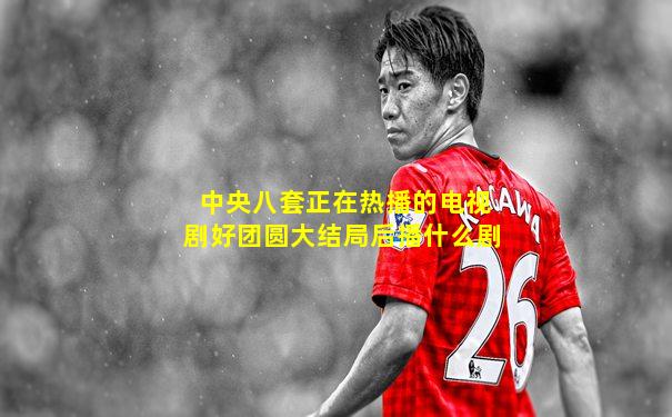 中央八套正在热播的电视剧好团圆大结局后播什么剧