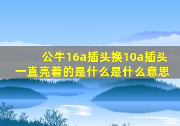 公牛16a插头换10a插头一直亮着的是什么是什么意思