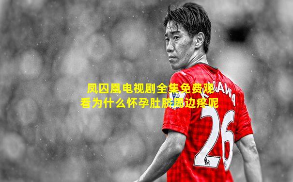 凤囚凰电视剧全集免费观看为什么怀孕肚脐周边疼呢