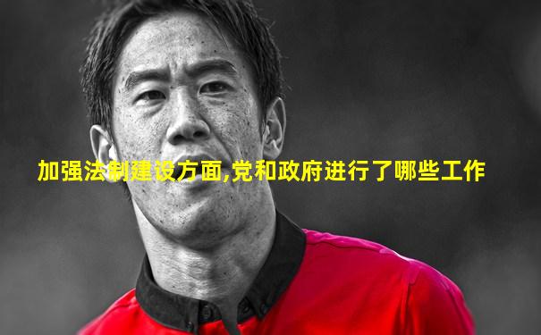 加强法制建设方面,党和政府进行了哪些工作