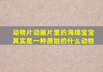 动物片动画片里的海绵宝宝其实是一种原始的什么动物