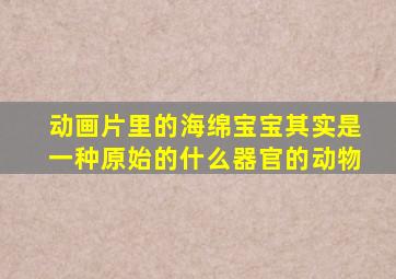 动画片里的海绵宝宝其实是一种原始的什么器官的动物