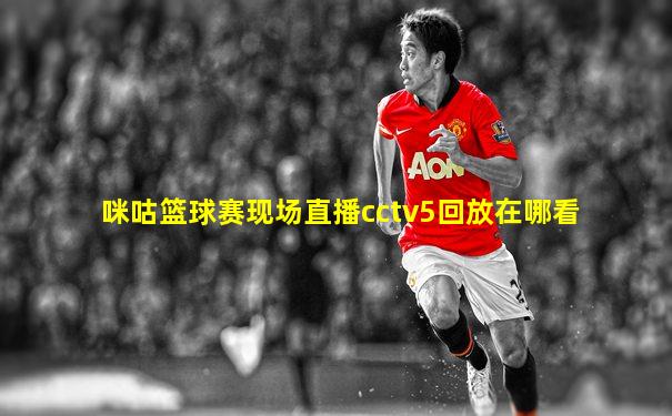 咪咕篮球赛现场直播cctv5回放在哪看