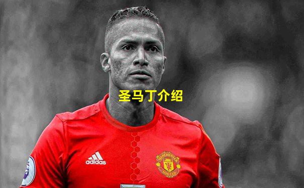 圣马丁介绍