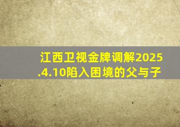 江西卫视金牌调解2025.4.10陷入困境的父与子