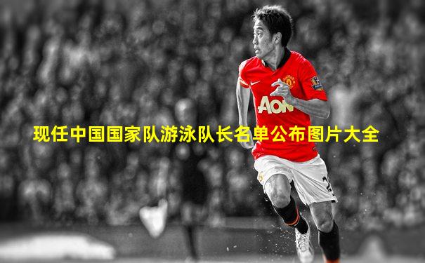 现任中国国家队游泳队长名单公布图片大全
