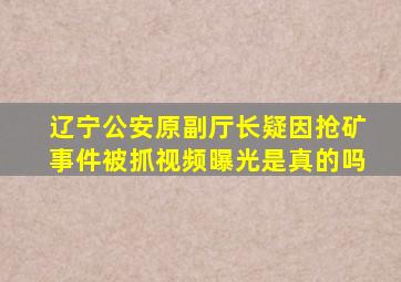 辽宁公安原副厅长疑因抢矿事件被抓视频曝光是真的吗